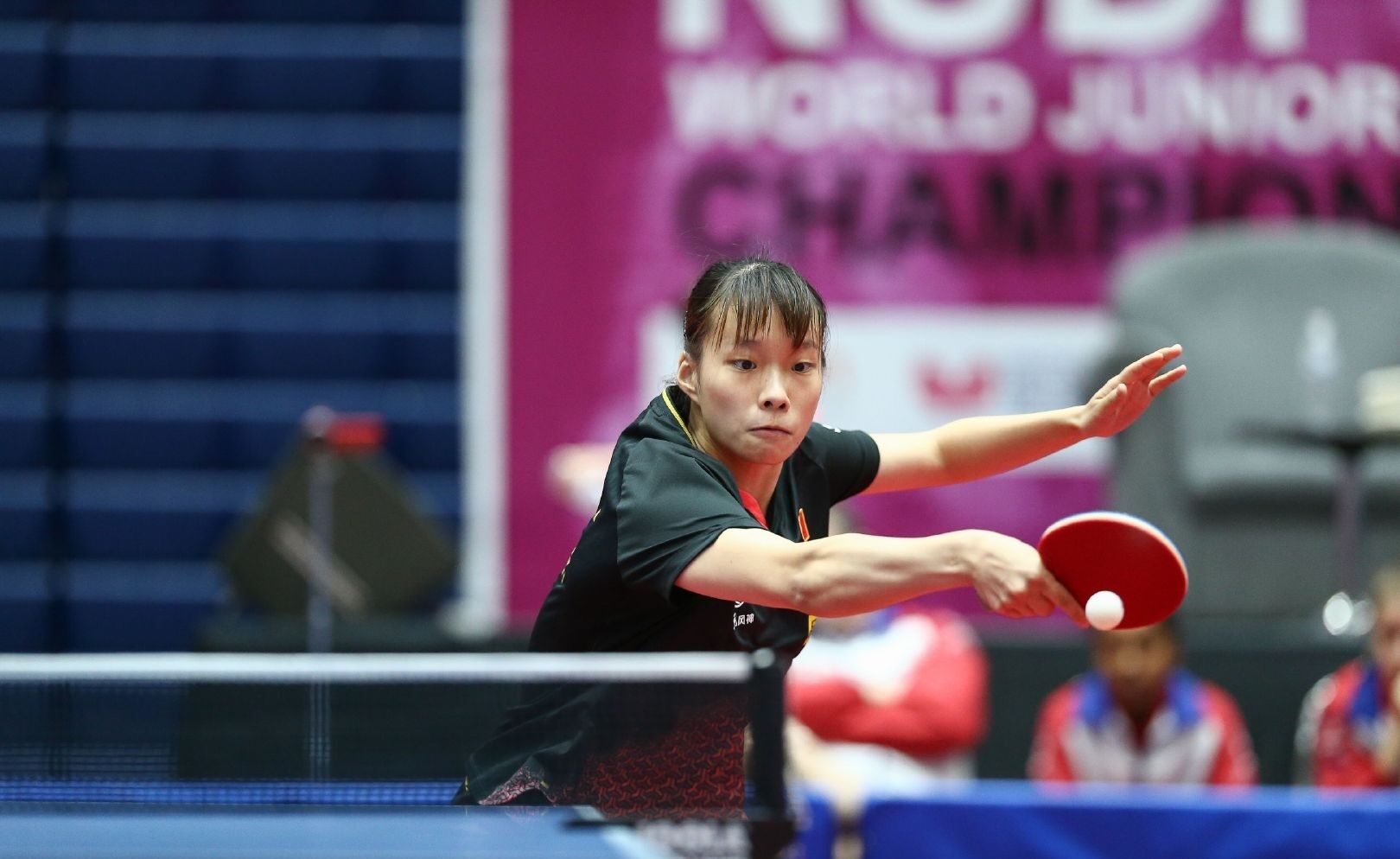 NBA动态：尼克斯续约老将，鹈鹕双核报销，杜兰特缺席一周.